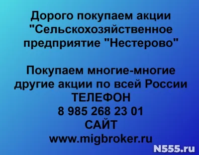 Покупаем акции «СП Нестерово»